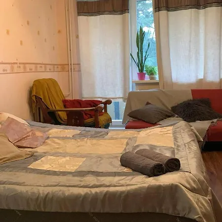 Spacious One With A Balcony Apartment